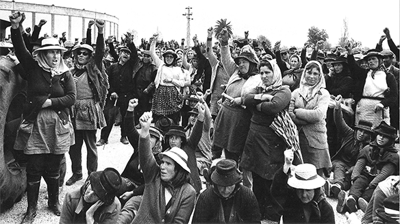 Tapada de Coelheiros Origem 1974