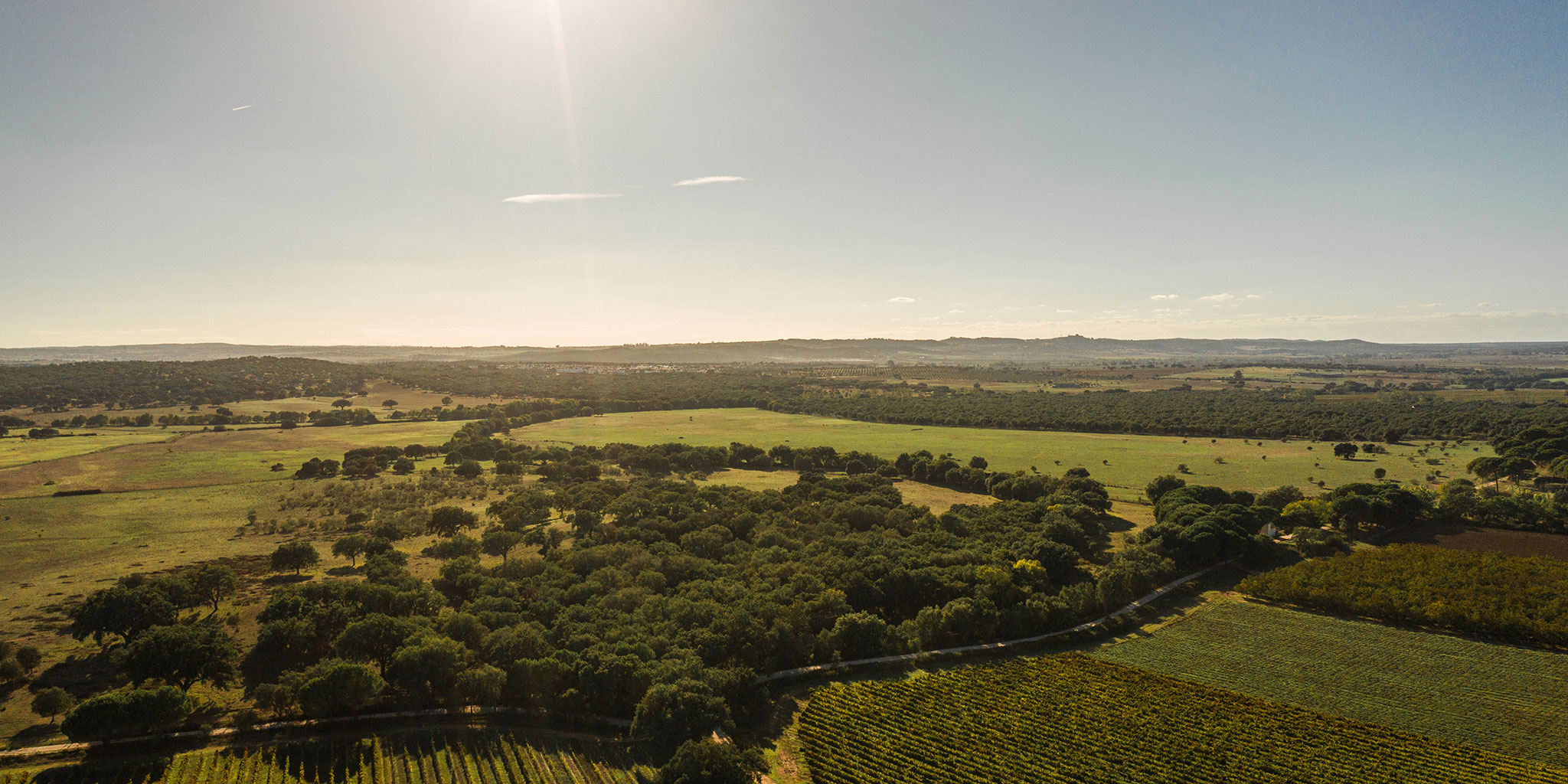 Tapada de Coelheiros Imagem Aérea