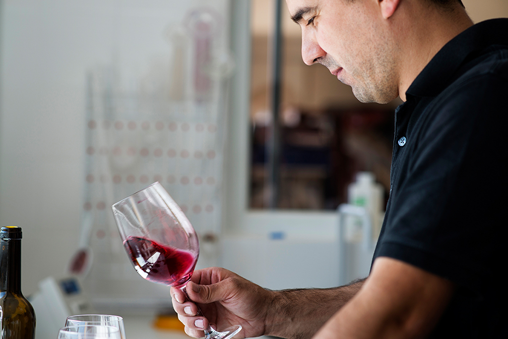 Tapada de Coelheiros