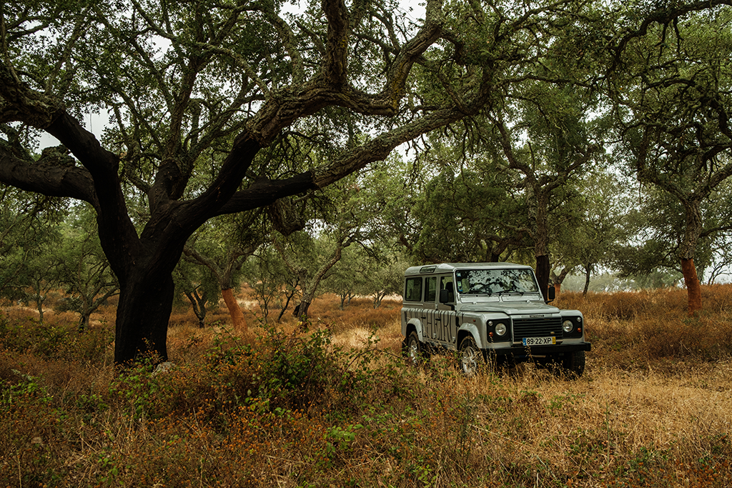 Tapada de Coelheiros Enoturismo