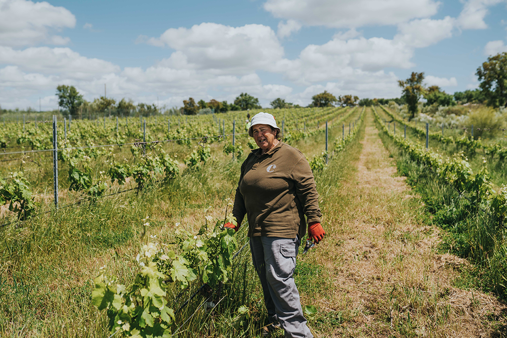 TC-Equipa-18 Tapada de Coelheiros Equipa