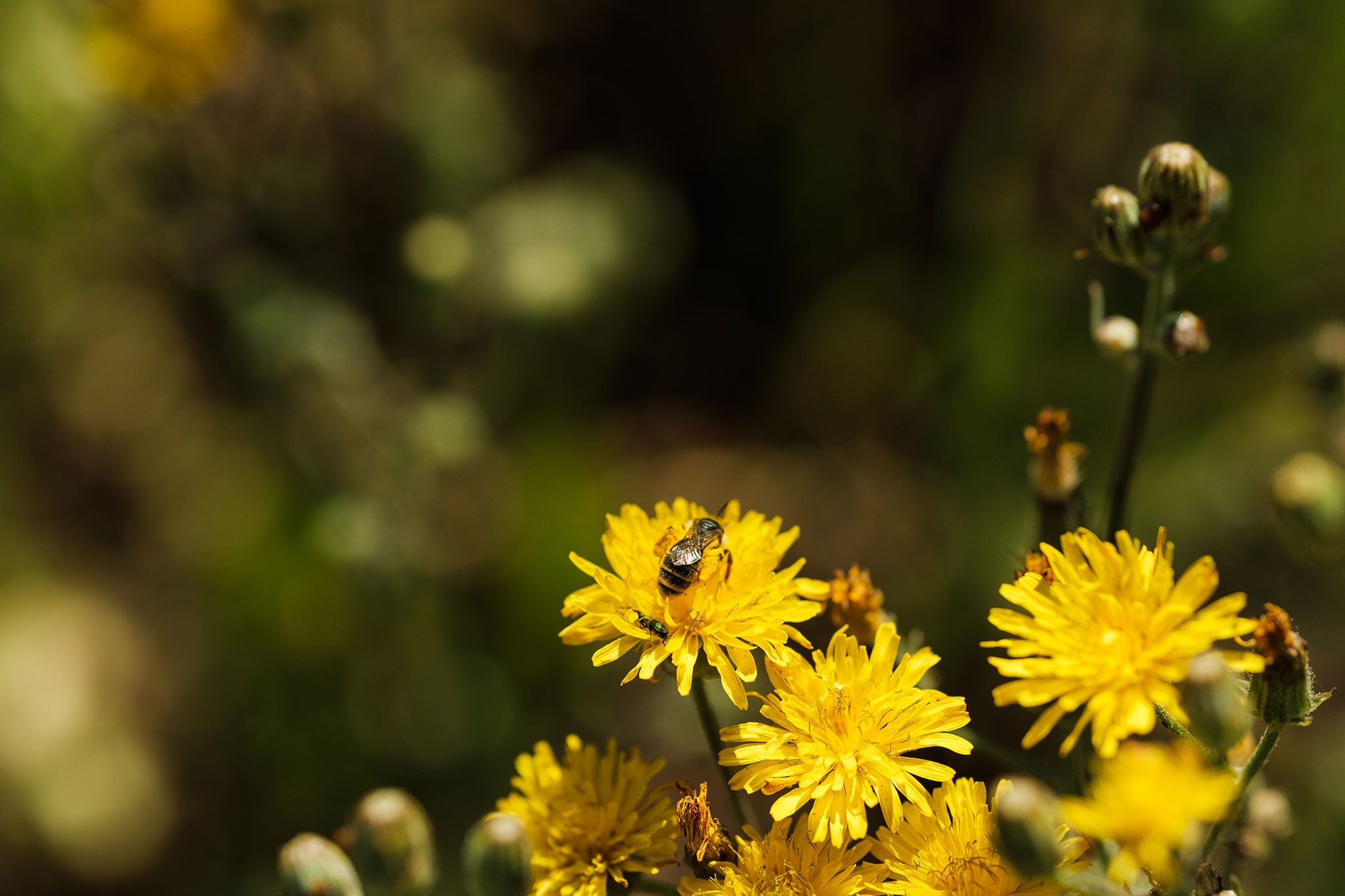 Enoturismo Tapada de Coelheiros
