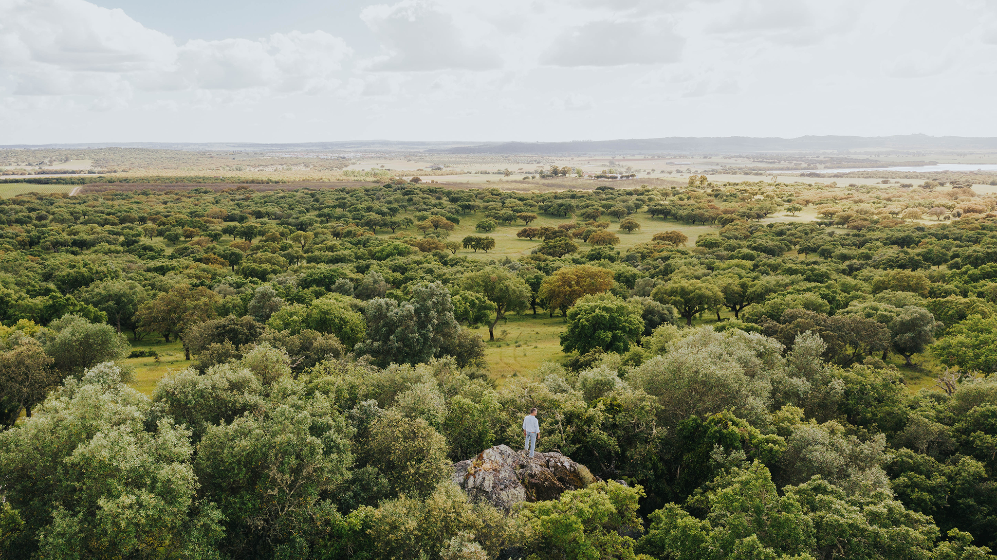 Tapada de Coelheiros Manifesto