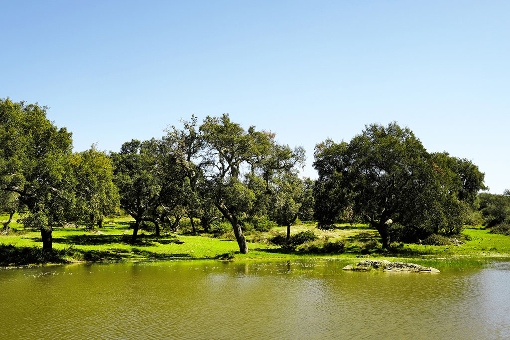 Gestão da água Tapada de Coelheiros