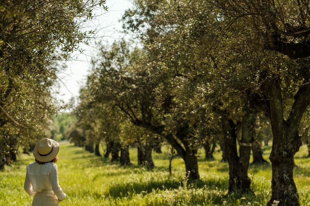Olival Tapada de Coelheiros